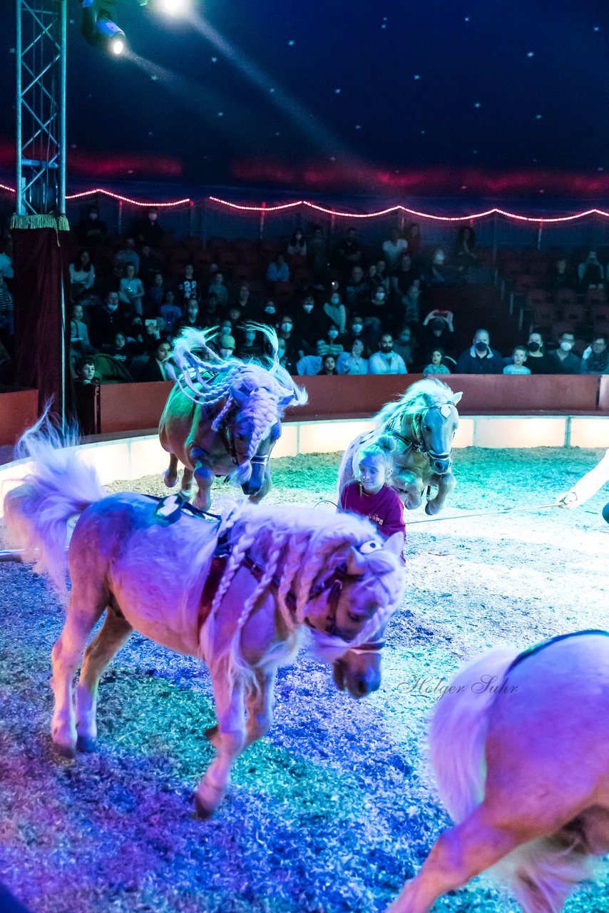 Bild 383 - Zirkus Europa